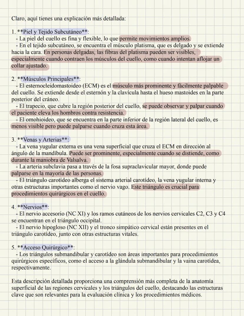 ABDOMEN
Órganos y viseras
Músculos aponeuróticos que permite distenderse y contraerse
Embarazo
Ingestión
Respiración
Acumulación de liquido
