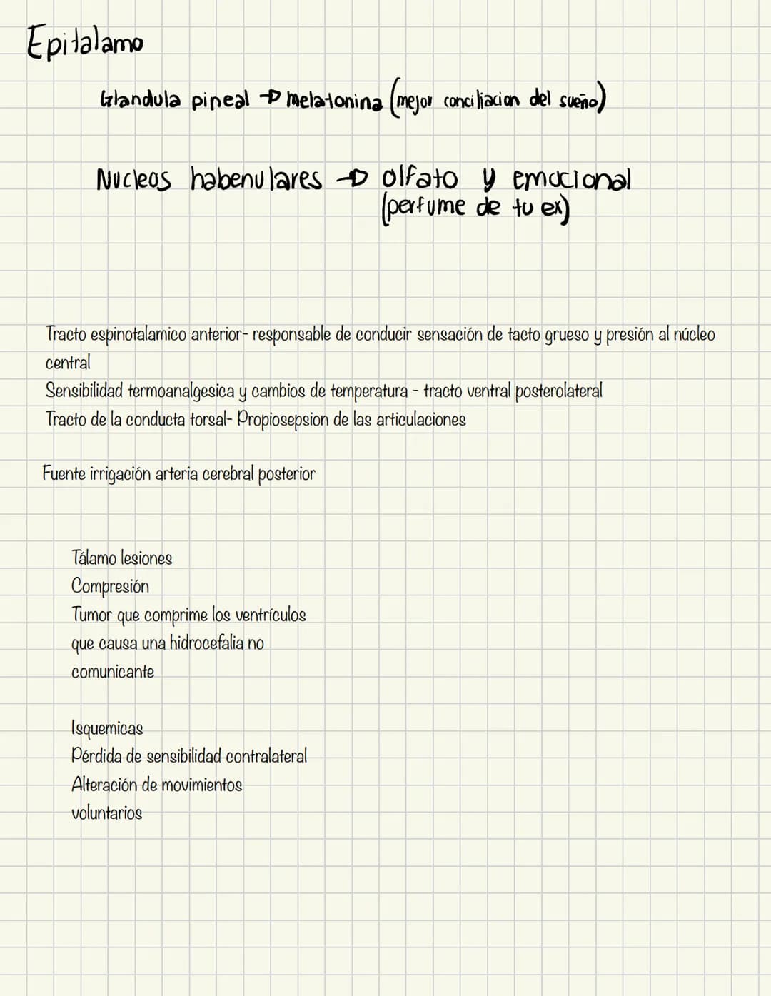 ABDOMEN
Órganos y viseras
Músculos aponeuróticos que permite distenderse y contraerse
Embarazo
Ingestión
Respiración
Acumulación de liquido
