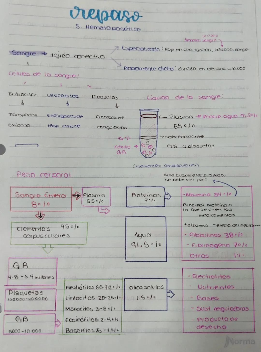 # repaso
S. Hemato pogético
910505
Almocean sangre
Especializado esp en una sunción, adiposo.sorge
Sangre tejido conectivo
1
Propamente dich
