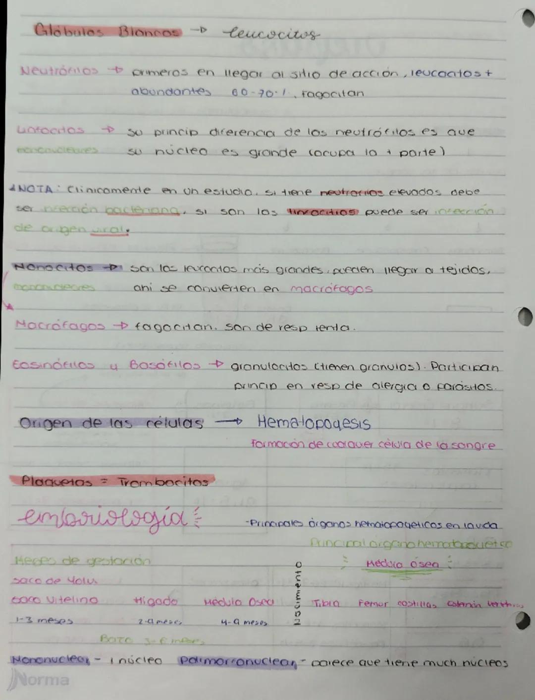 # repaso
S. Hemato pogético
910505
Almocean sangre
Especializado esp en una sunción, adiposo.sorge
Sangre tejido conectivo
1
Propamente dich
