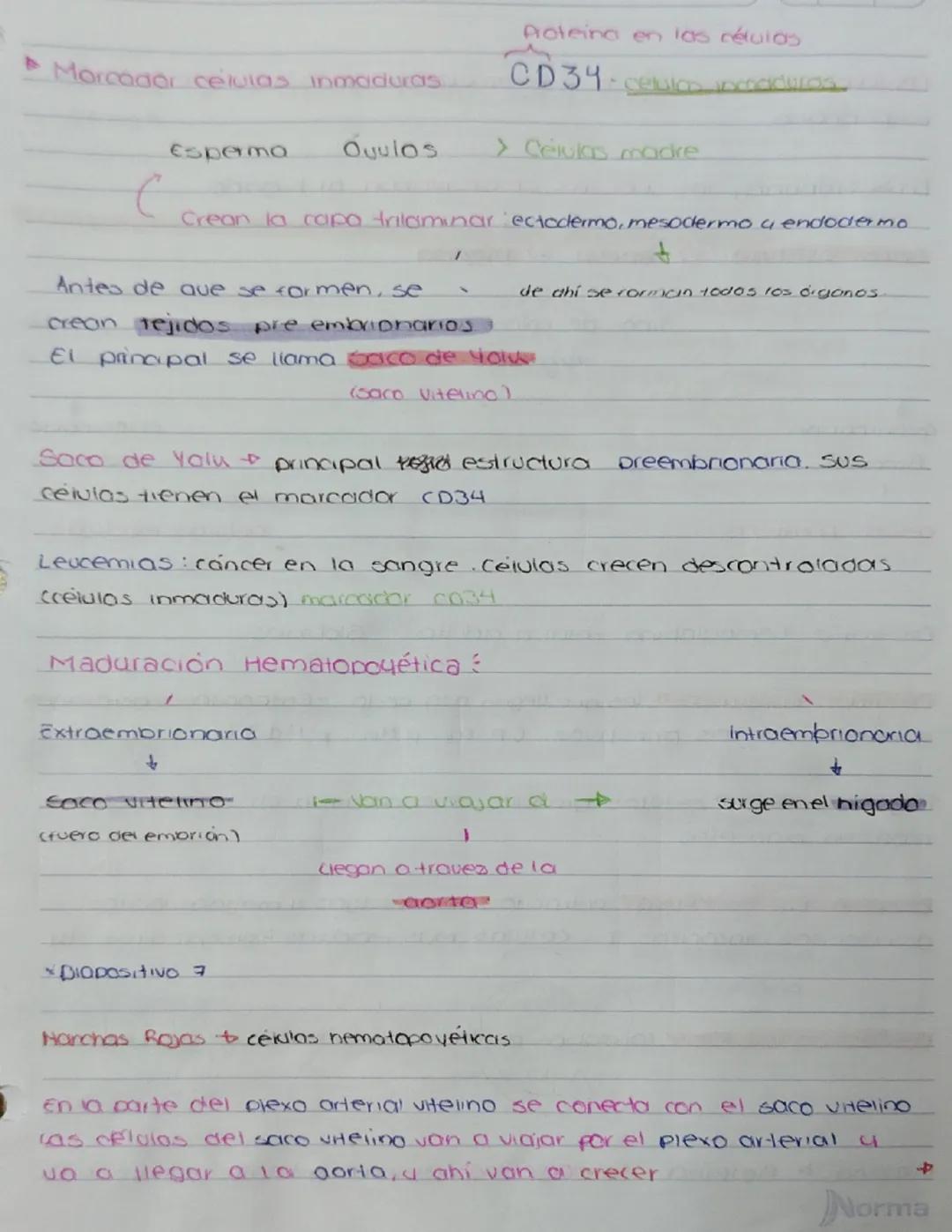 # repaso
S. Hemato pogético
910505
Almocean sangre
Especializado esp en una sunción, adiposo.sorge
Sangre tejido conectivo
1
Propamente dich