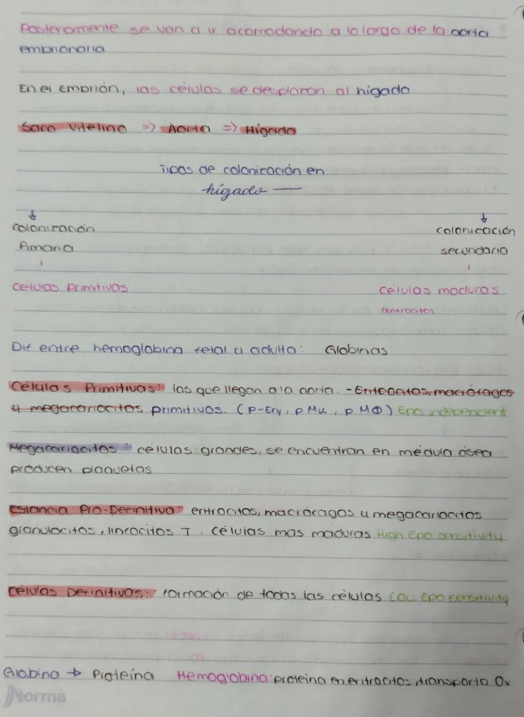 # repaso
S. Hemato pogético
910505
Almocean sangre
Especializado esp en una sunción, adiposo.sorge
Sangre tejido conectivo
1
Propamente dich