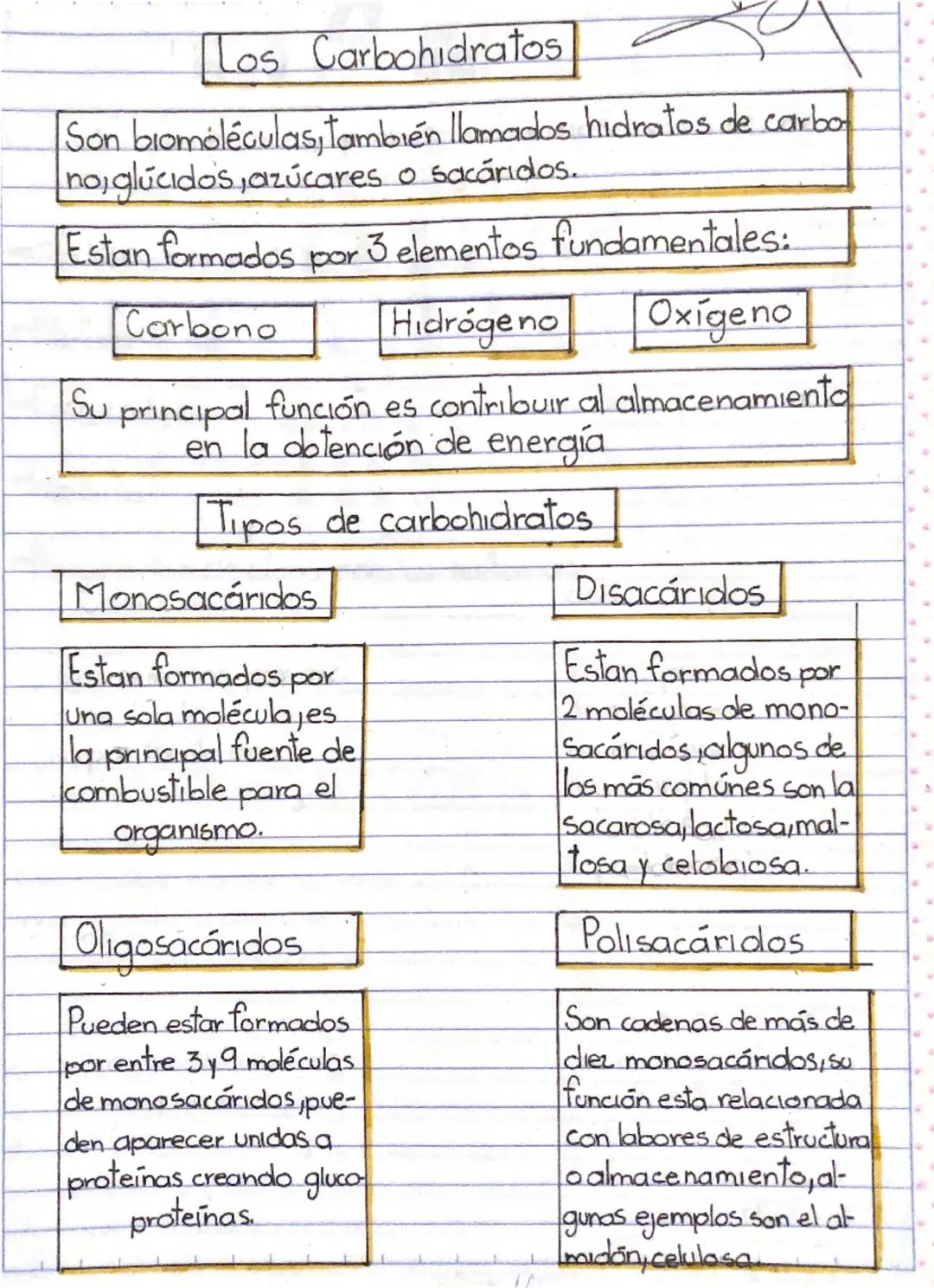 # Los Carbohidratos

Son biomoléculas, también llamados hidratos de carbo
no, glúcidos, azúcares o sacáridos.

Estan formados por 3 elemento