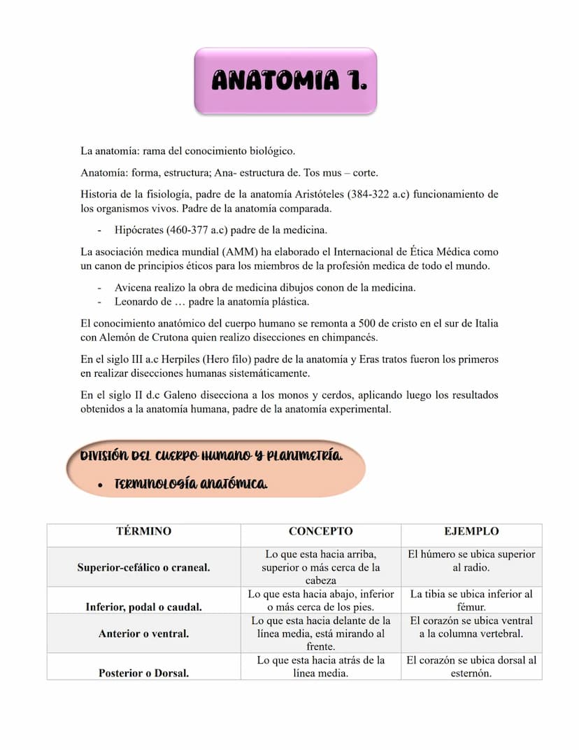 ANATOMIA 1.
La anatomía: rama del conocimiento biológico.
Anatomía: forma, estructura; Ana- estructura de. Tos mus
corte.
Historia de la fis