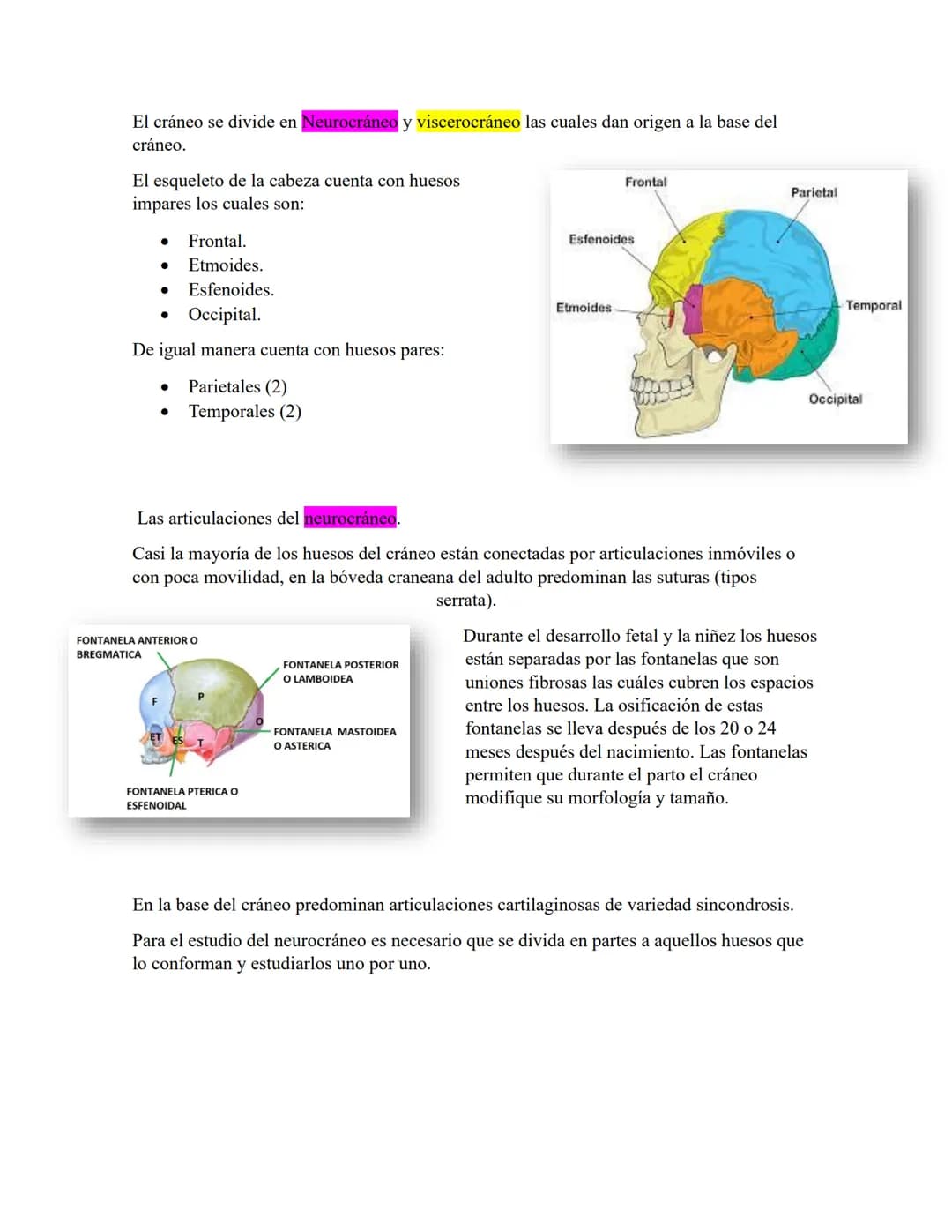 ANATOMIA 1.
La anatomía: rama del conocimiento biológico.
Anatomía: forma, estructura; Ana- estructura de. Tos mus
corte.
Historia de la fis