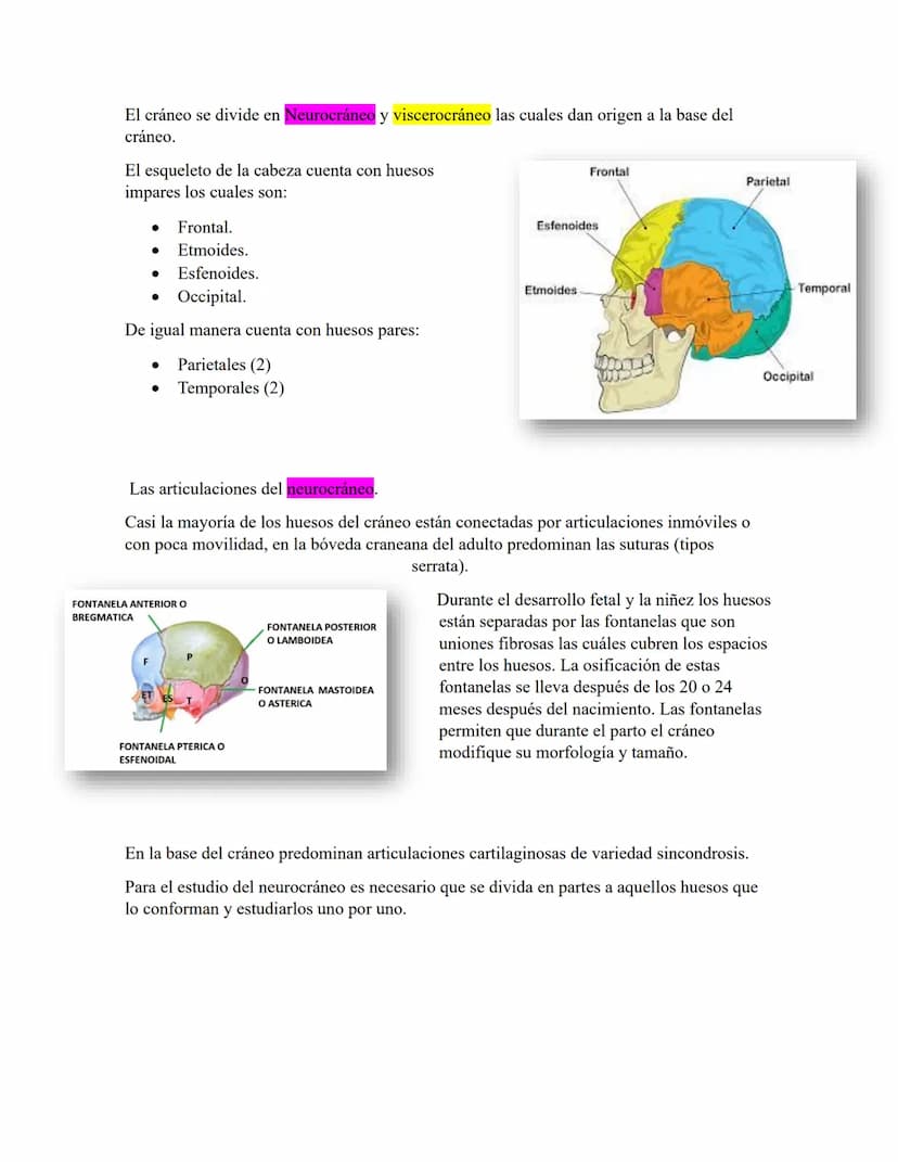 ANATOMIA 1.
La anatomía: rama del conocimiento biológico.
Anatomía: forma, estructura; Ana- estructura de. Tos mus
corte.
Historia de la fis