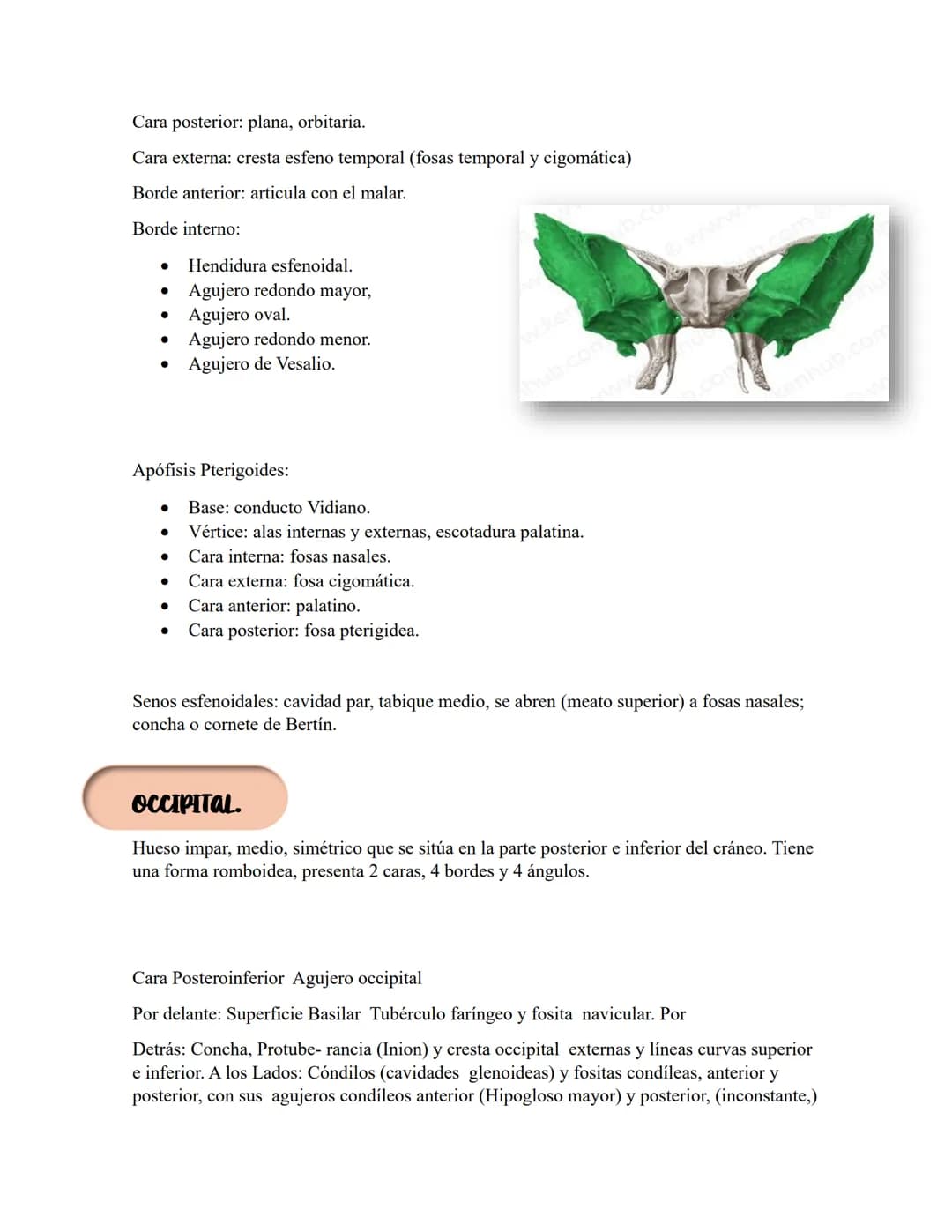 ANATOMIA 1.
La anatomía: rama del conocimiento biológico.
Anatomía: forma, estructura; Ana- estructura de. Tos mus
corte.
Historia de la fis