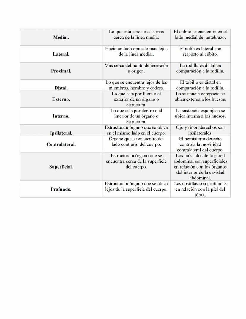ANATOMIA 1.
La anatomía: rama del conocimiento biológico.
Anatomía: forma, estructura; Ana- estructura de. Tos mus
corte.
Historia de la fis