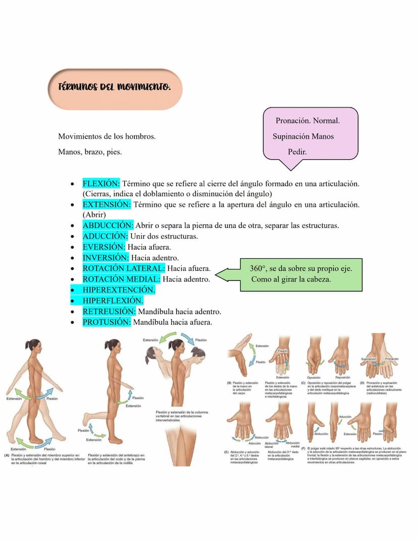 ANATOMIA 1.
La anatomía: rama del conocimiento biológico.
Anatomía: forma, estructura; Ana- estructura de. Tos mus
corte.
Historia de la fis