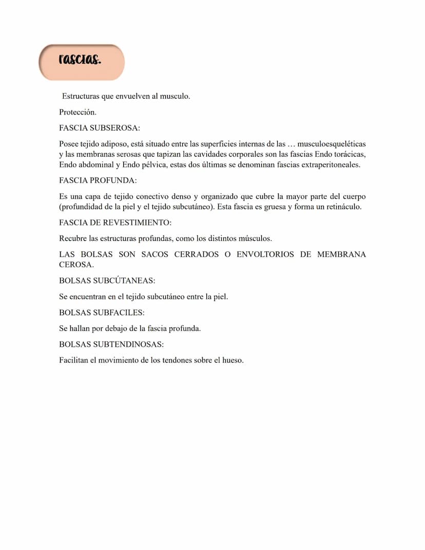 ANATOMIA 1.
La anatomía: rama del conocimiento biológico.
Anatomía: forma, estructura; Ana- estructura de. Tos mus
corte.
Historia de la fis