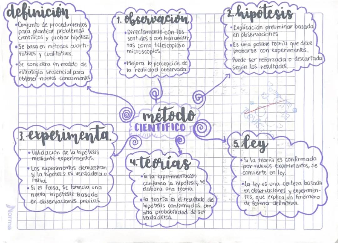 Comprendiendo el Método Científico: Guía Visual Esencial