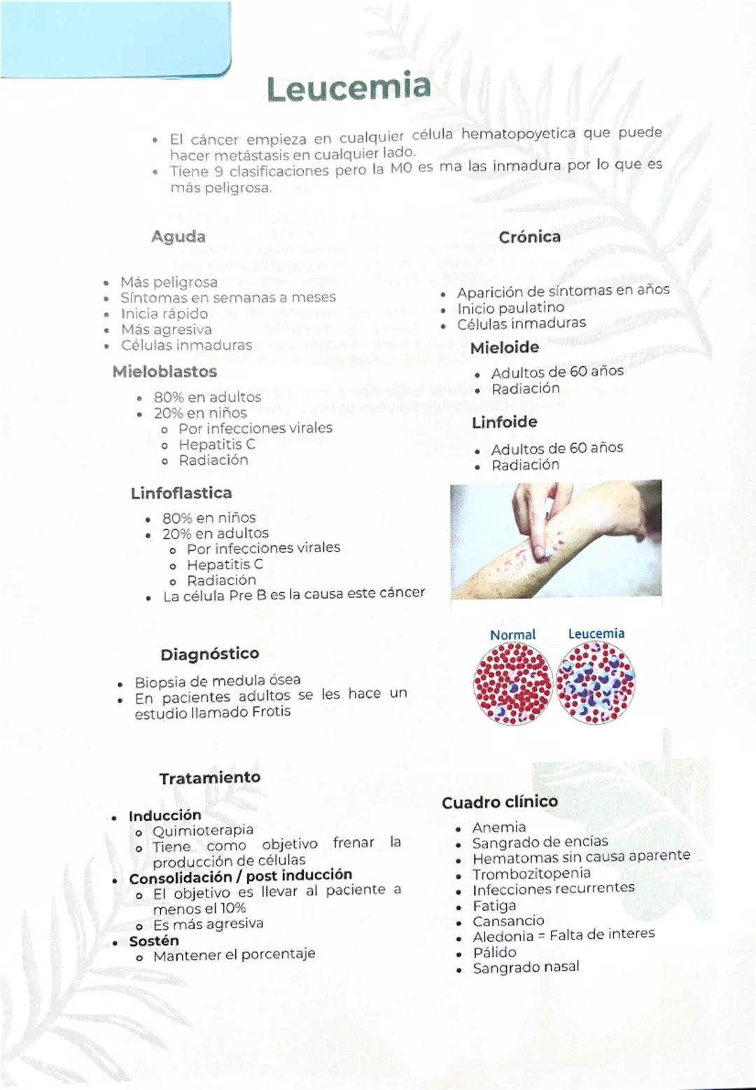 Leucemia: Conoce Más Sobre Esta Enfermedad