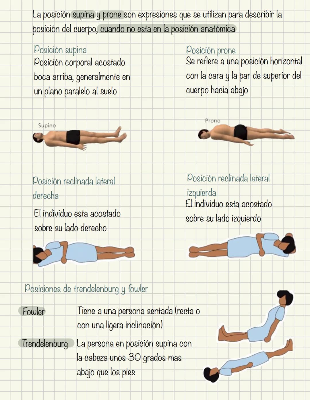 1
Historia de la anatomía
⚫ Egipto
. Papiros de imhotep
2
3
4
5
.
.
•
Grecia
Hipocrates
Padre de la medicina
Alejandría
Herofilo y heristrat