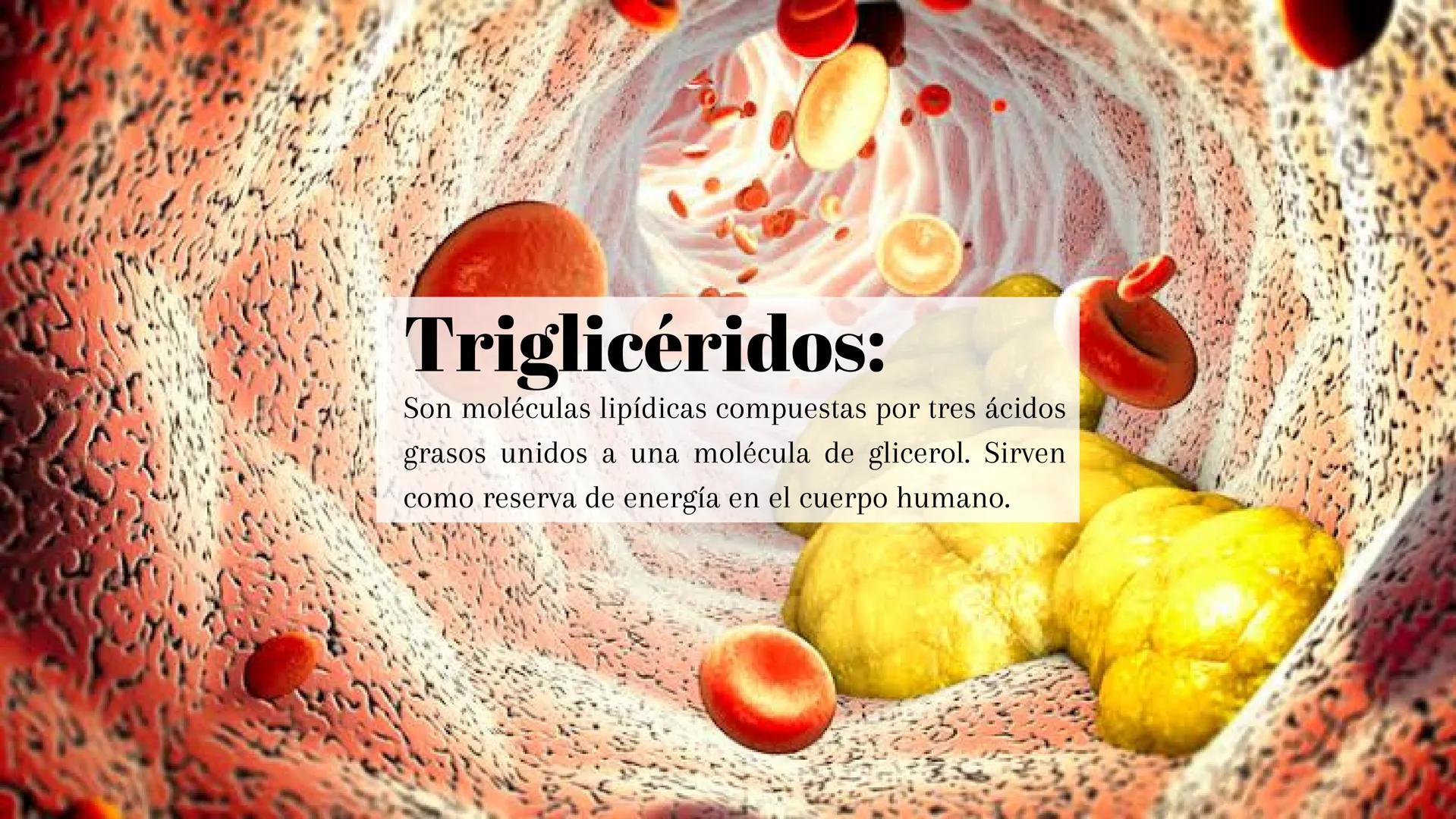 ## ¿Qué son?:

Los lípidos son moléculas orgánicas que incluyen
grasas, aceites y fosfolípidos, esenciales para
almacenar energía. ## Tipos: