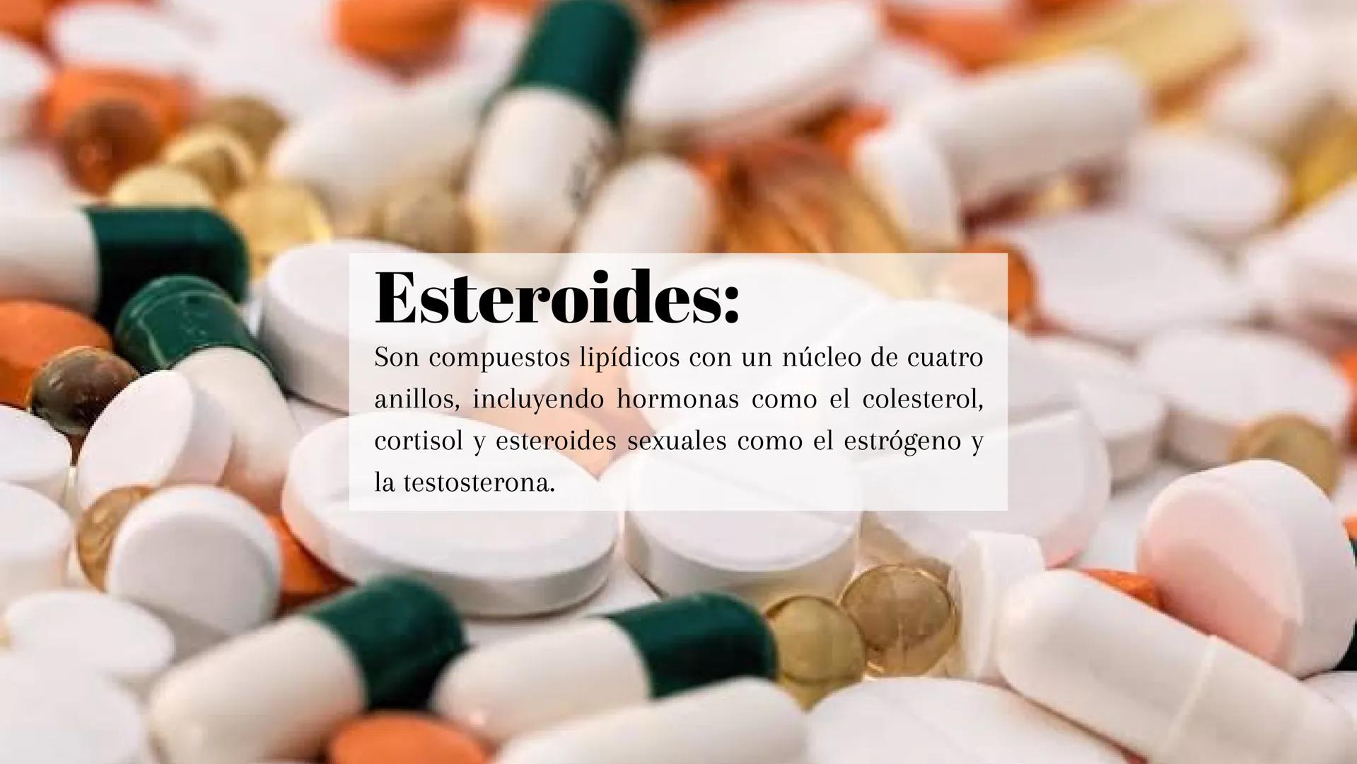 ## ¿Qué son?:

Los lípidos son moléculas orgánicas que incluyen
grasas, aceites y fosfolípidos, esenciales para
almacenar energía. ## Tipos: