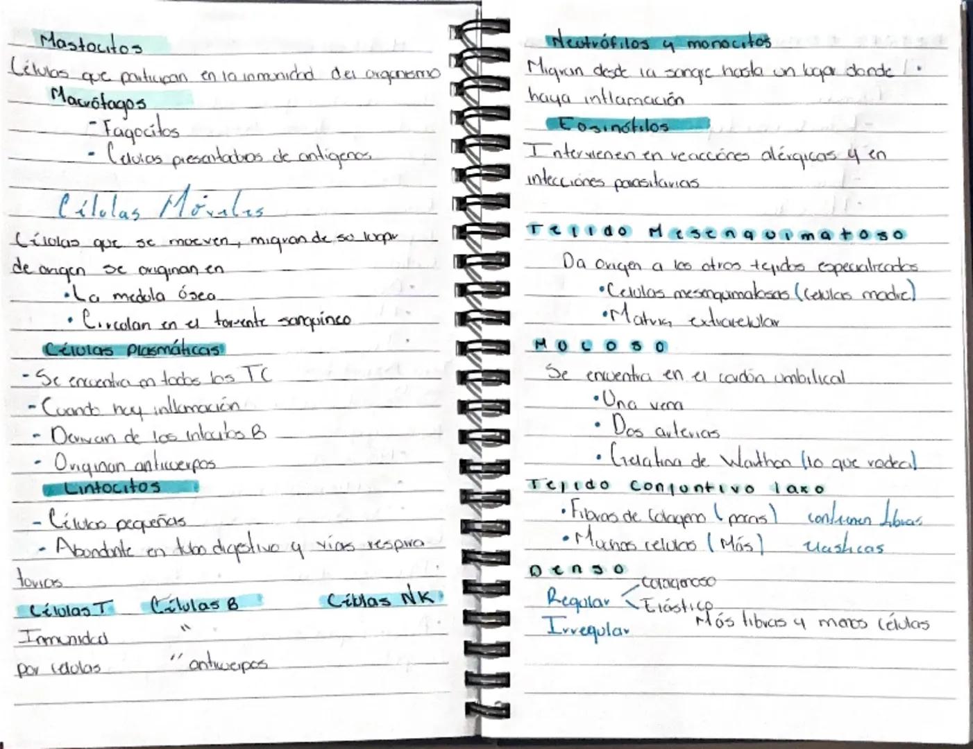 # TEJIDO CONTUNTIVO

tejido conectero

•Tiene varias células y matriz extracelular 1

(Red de proteínas y moléculas que vodea y da

soporte 