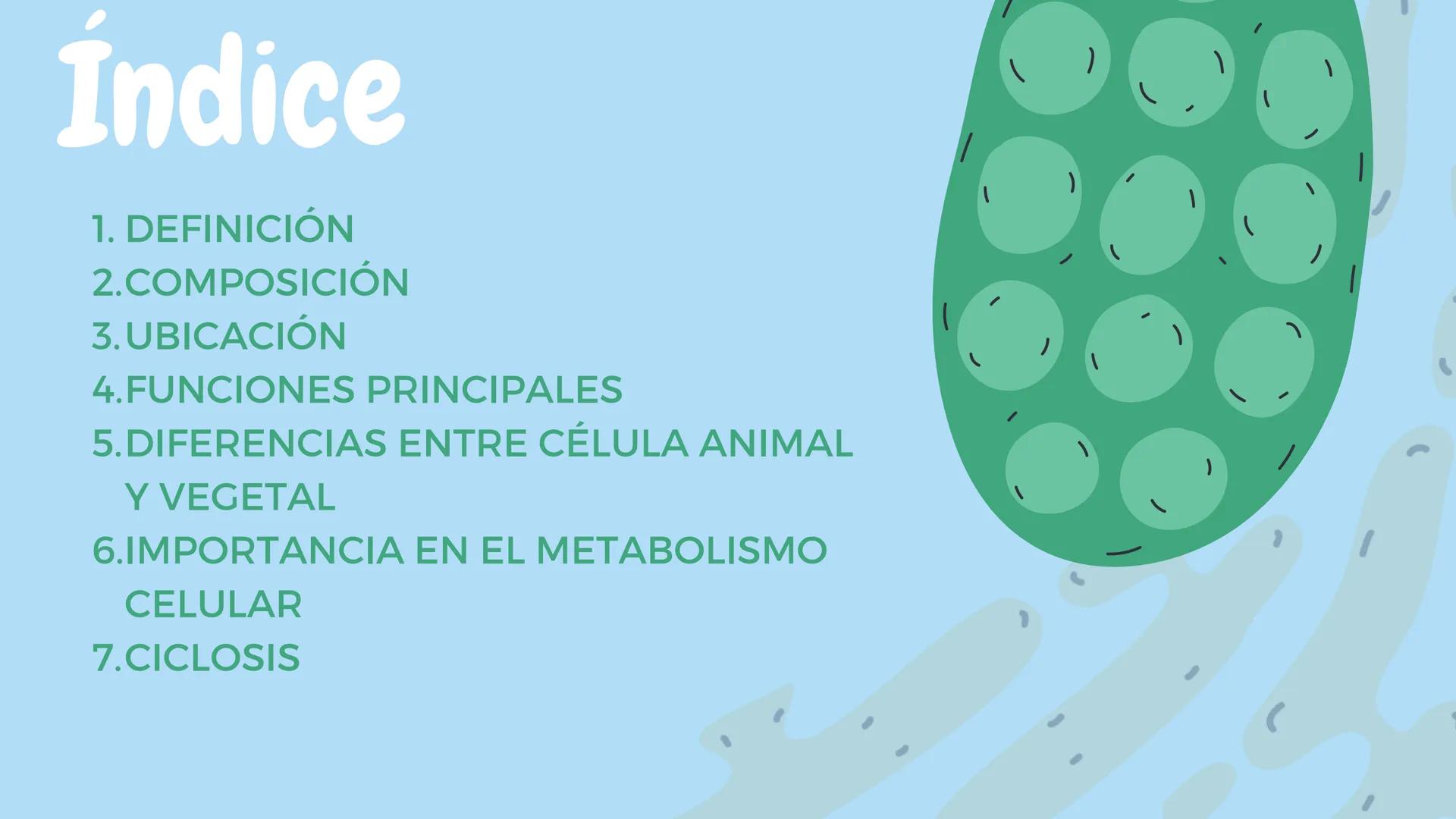 Índice
1. DEFINICIÓN
2.COMPOSICIÓN
3.UBICACIÓN
4.FUNCIONES PRINCIPALES
5.DIFERENCIAS ENTRE CÉLULA ANIMAL
Y VEGETAL
6.IMPORTANCIA EN EL METAB