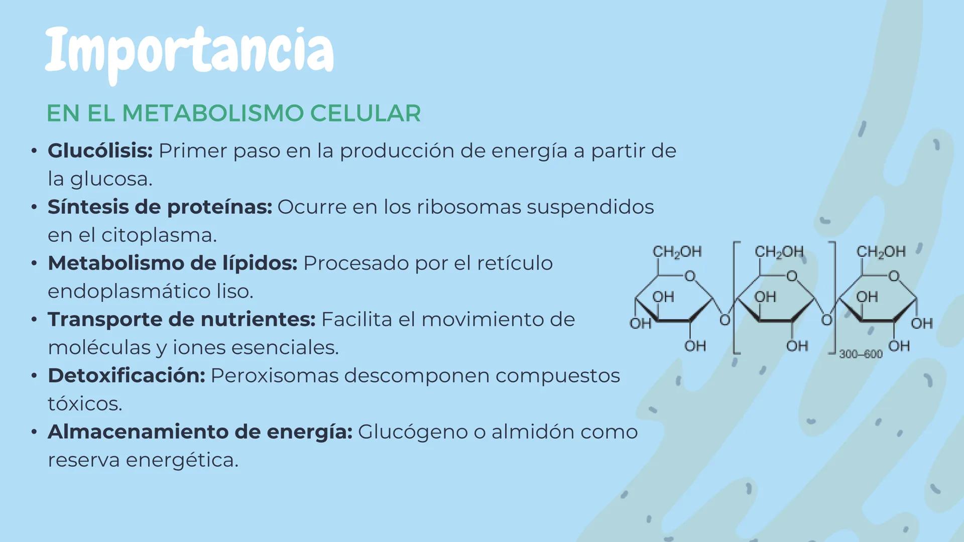 Índice
1. DEFINICIÓN
2.COMPOSICIÓN
3.UBICACIÓN
4.FUNCIONES PRINCIPALES
5.DIFERENCIAS ENTRE CÉLULA ANIMAL
Y VEGETAL
6.IMPORTANCIA EN EL METAB