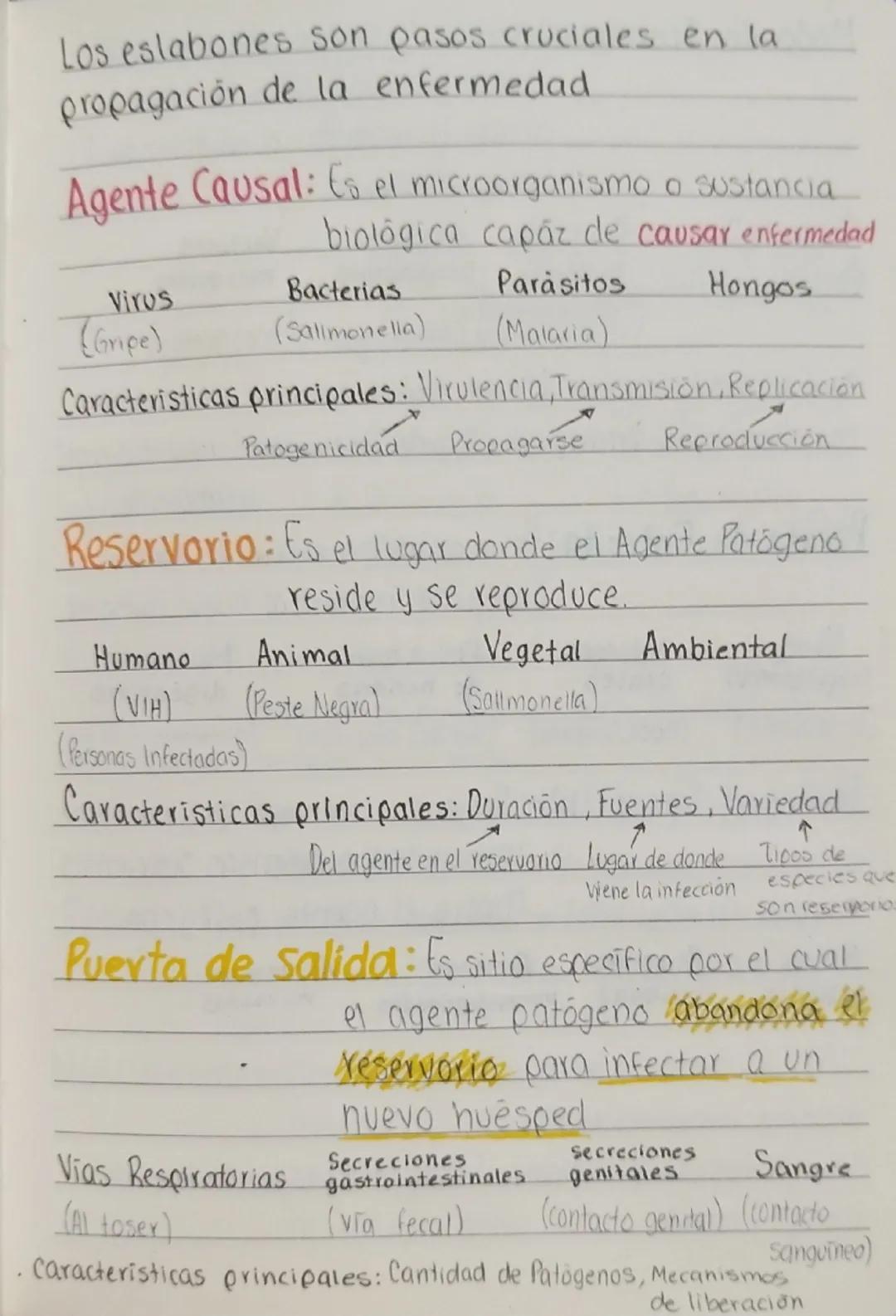 Eslabones de la cadena epidemiológica

Modela ¿Qué es? Es un modelo conceptual
conceptual utilizado en epidemiología para
para entender y de