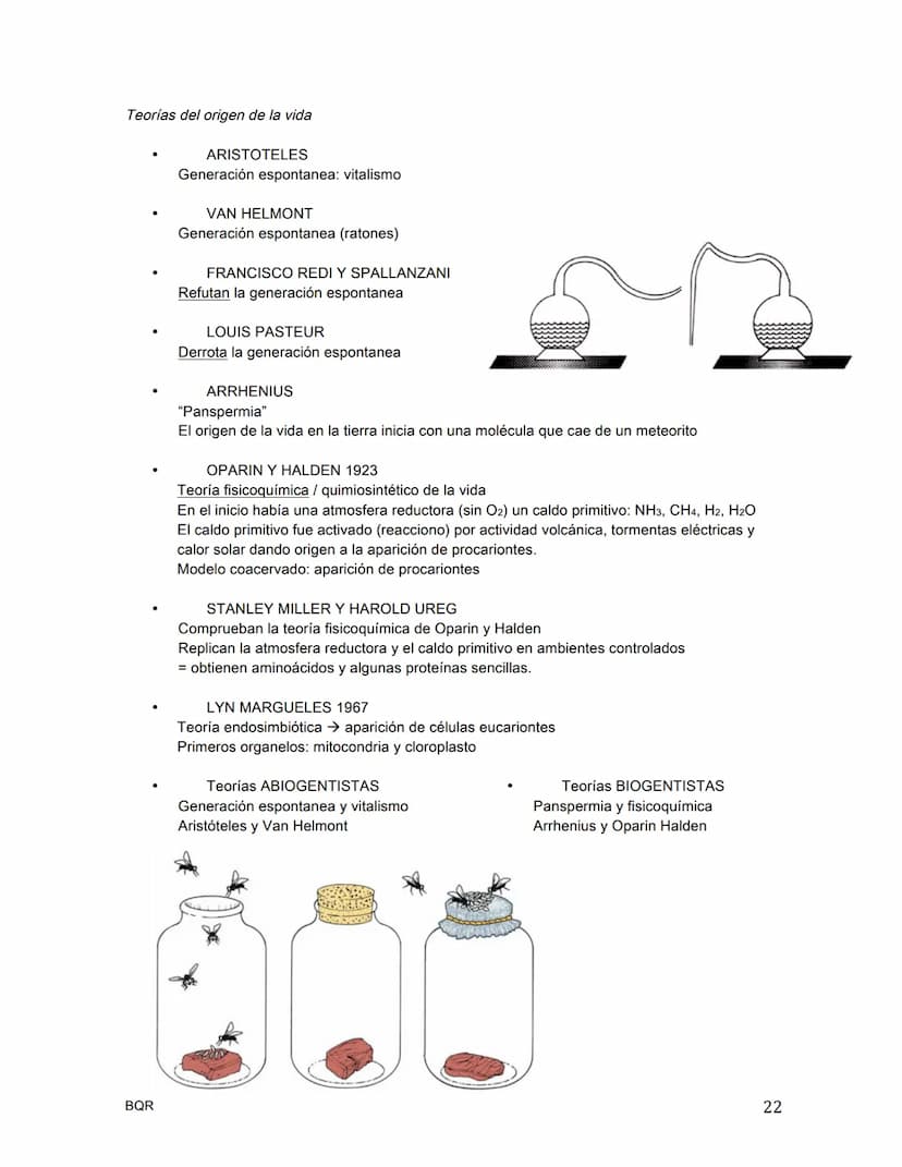 BIOLOGÍA
La célula / Teoría celular
.
¿Quién nombra a la célula?
•
•
•
•
Hooke, célula = celda
¿Quién era el botánico de la teoría celular?
