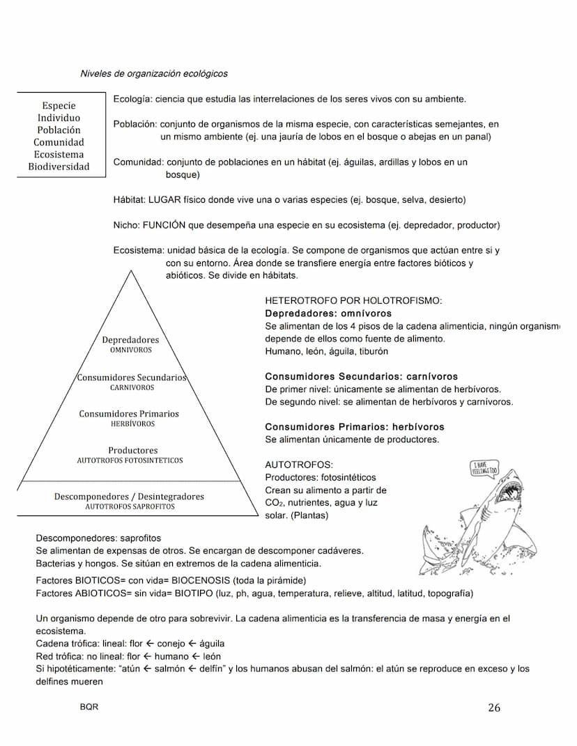 BIOLOGÍA
La célula / Teoría celular
.
¿Quién nombra a la célula?
•
•
•
•
Hooke, célula = celda
¿Quién era el botánico de la teoría celular?
