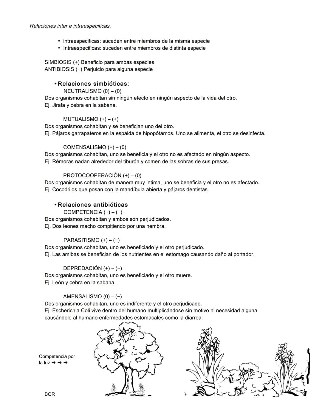 BIOLOGÍA
La célula / Teoría celular
.
¿Quién nombra a la célula?
•
•
•
•
Hooke, célula = celda
¿Quién era el botánico de la teoría celular?
