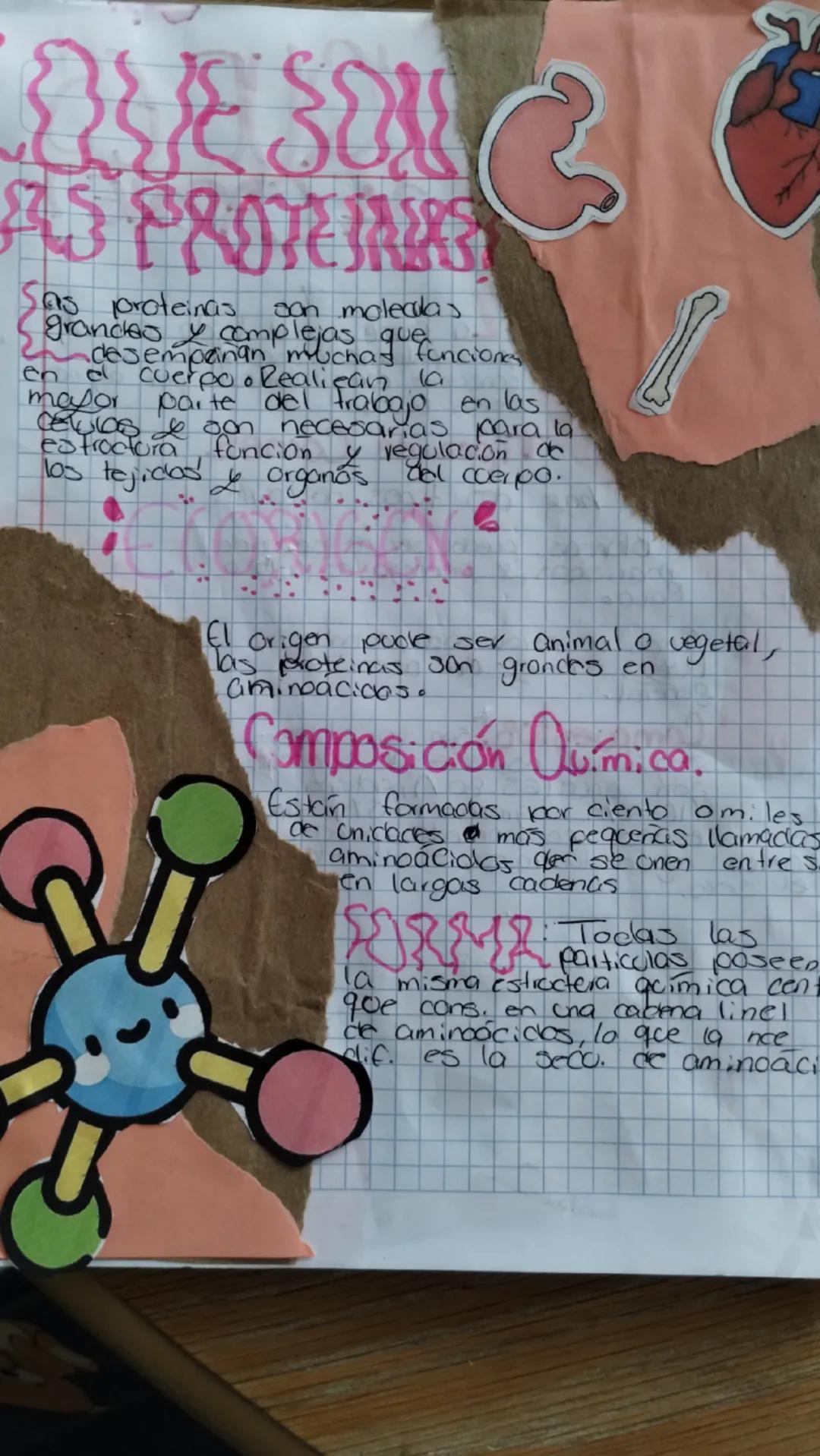 ASPRONAG

son moleadas
As proteinas
grandes complejas querun
desempanan muchas funciones
en el cuerpo. Realican la
mayor parte del frabajo e