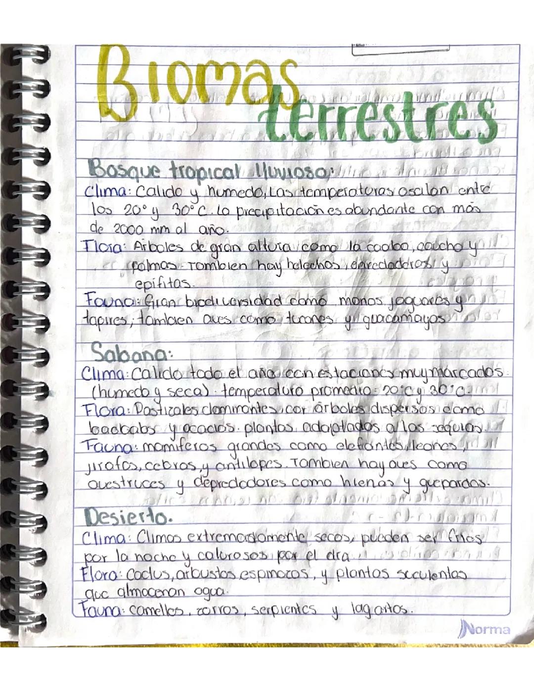 Exploración de los Biomas Terrestres: Clima, Flora y Fauna