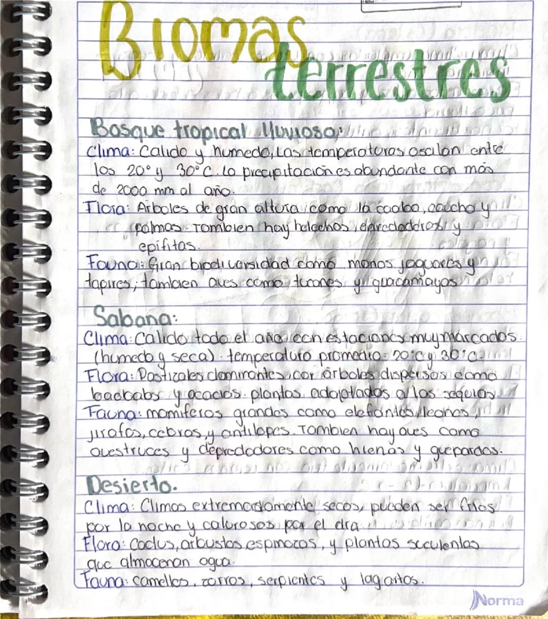 Broma Serrestres
Bosque tropical
y
Clima: Calido y humedo, Las temperaturas osalon entre
10s 20° y 30°C. Lo precipitación es abundante con m