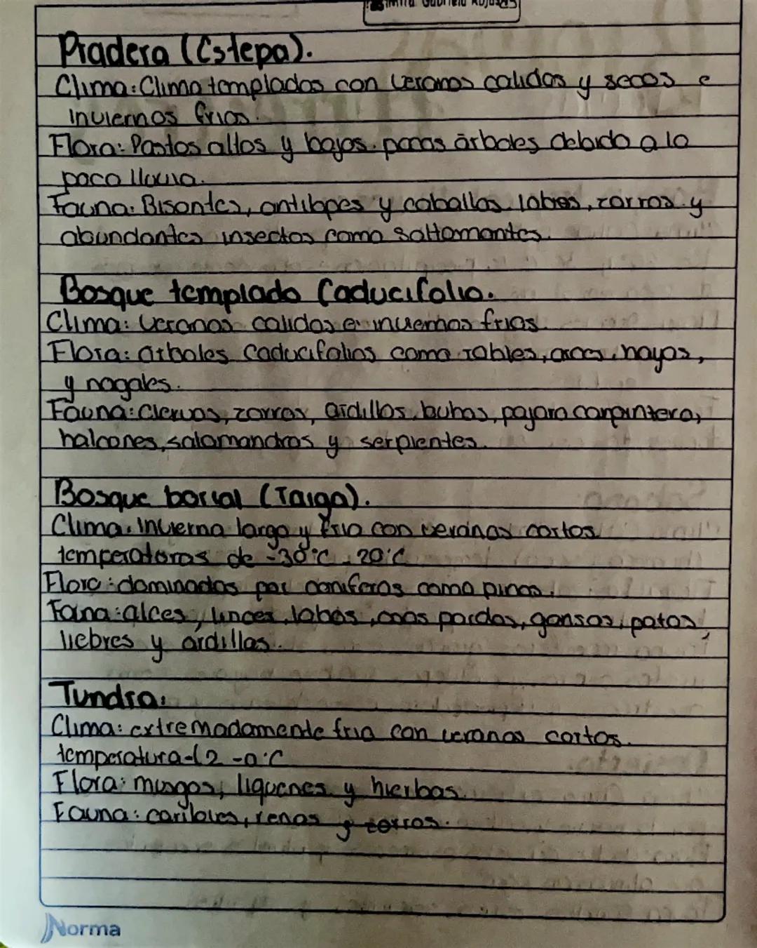 Broma Serrestres
Bosque tropical
y
Clima: Calido y humedo, Las temperaturas osalon entre
10s 20° y 30°C. Lo precipitación es abundante con m