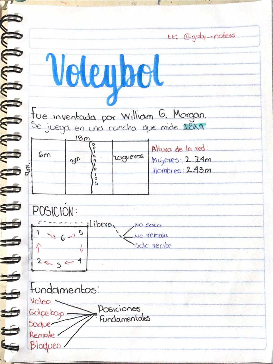 am.
# Voleybol

tt: @gaby-notess

fue inventada por William 6. Morgan.
Se juega en una cancha que mide 18x9

|       |       | 18m       |  