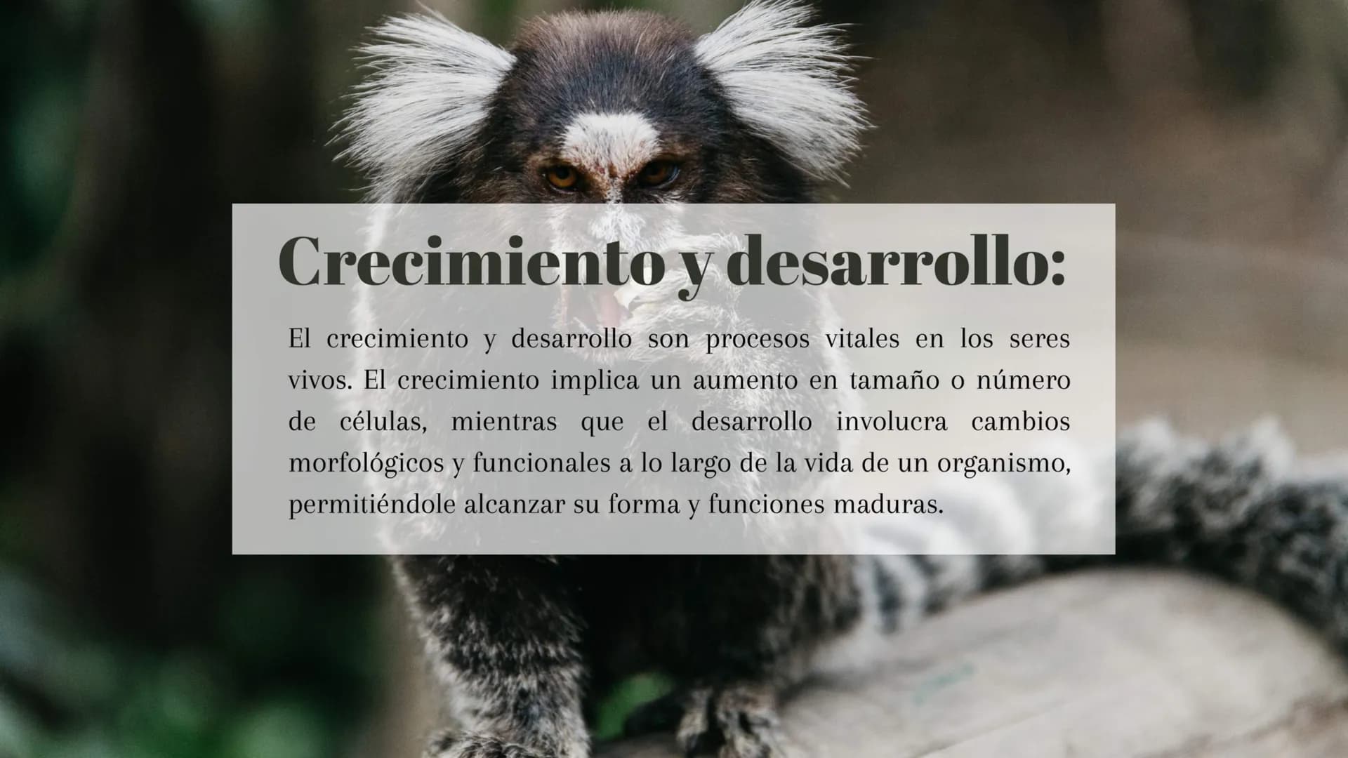 ¿Qué son los seres vivos?:
Los seres vivos son entidades biológicas que poseen características
esenciales como organización celular, reprodu