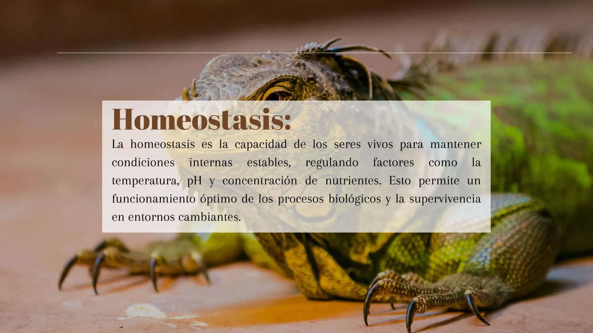 ¿Qué son los seres vivos?:
Los seres vivos son entidades biológicas que poseen características
esenciales como organización celular, reprodu
