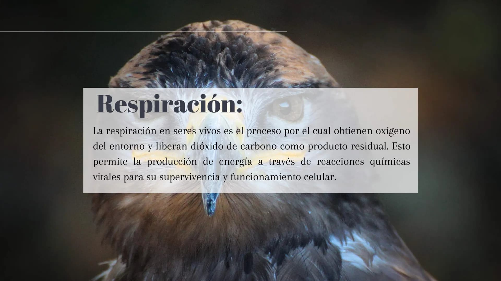 ¿Qué son los seres vivos?:
Los seres vivos son entidades biológicas que poseen características
esenciales como organización celular, reprodu