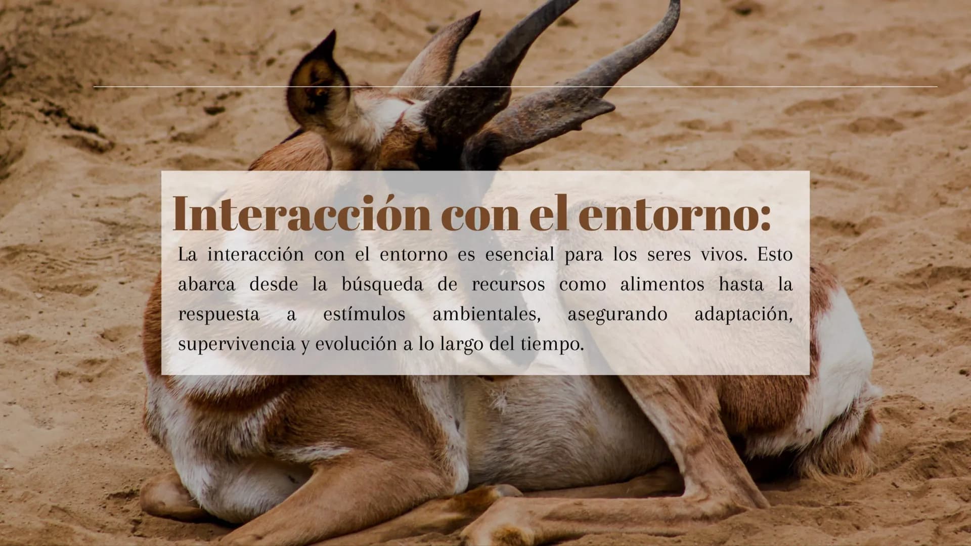 ¿Qué son los seres vivos?:
Los seres vivos son entidades biológicas que poseen características
esenciales como organización celular, reprodu
