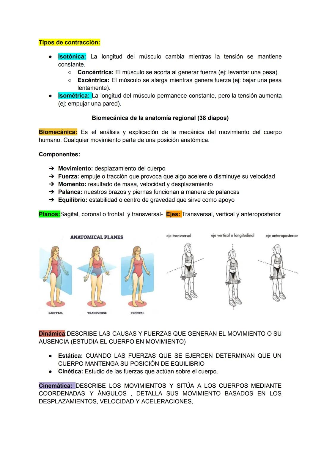 # Músculo esquelético (67)
La fuerza de una persona, hace que la energía física se convierta en mecánica.
Miología: Ciencia que estudia los 