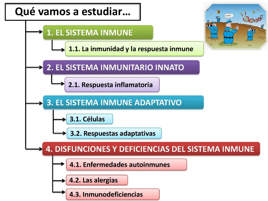 Explorando el Sistema Inmunológico: Presentación en PowerPoint