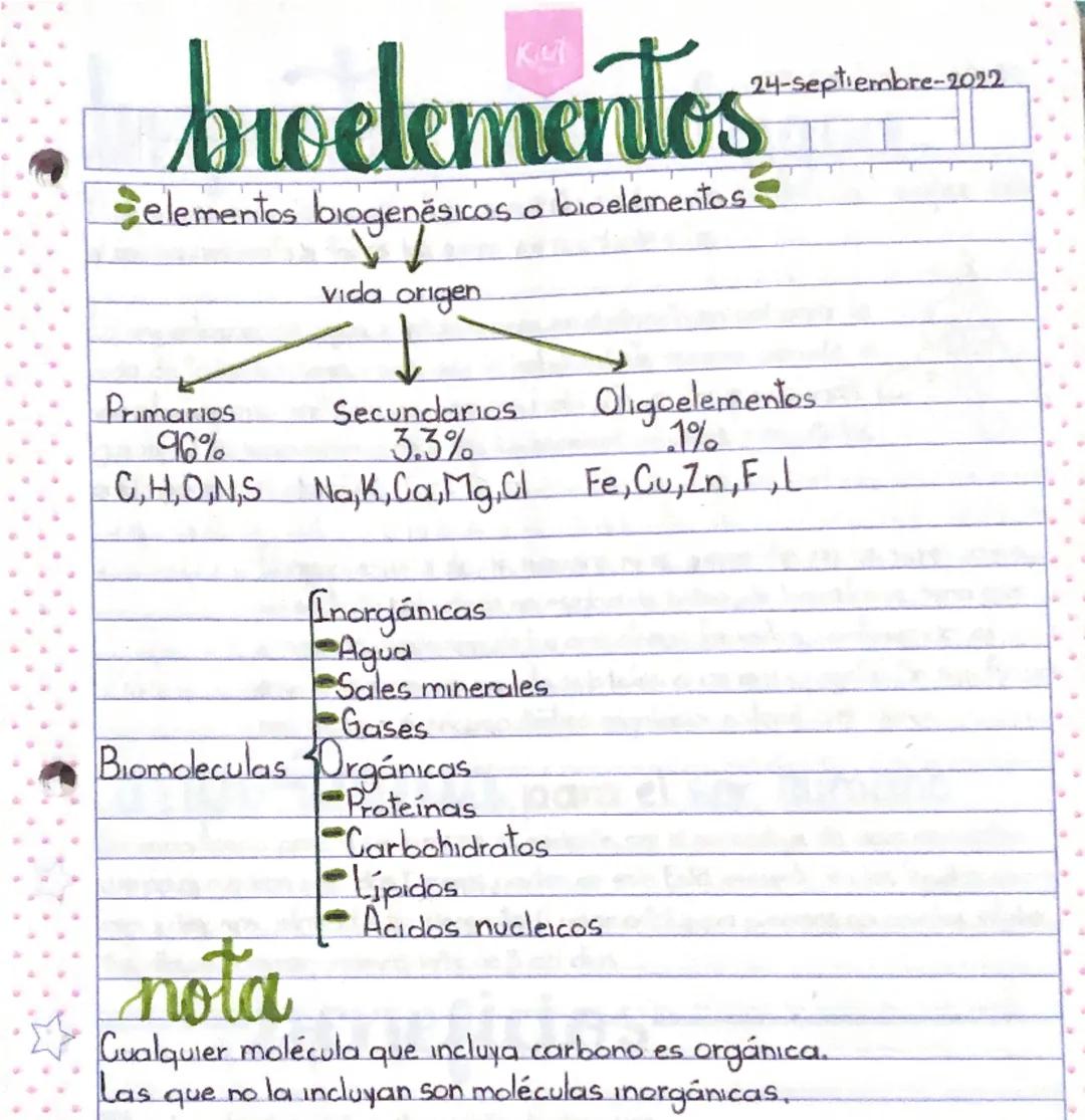 broelementos
Selementos biogenesicos o bioelementos
vida origen
24-Septiembre-2022
Primarios
96%
Secundarios
3.3%
Oligoelementos
1%
CHONS Na