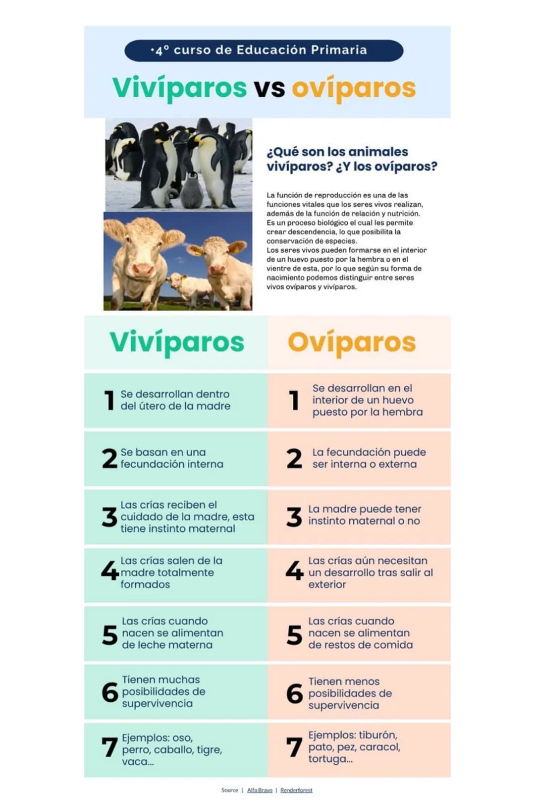 ANIMALES
OVIPAROS
CARACTERÍSTICAS
LO
2
3
NACEN DE
HUEVO
PRESENTAN
MUCHAS
ESPECIES
SE
DESARROLLAN
FUERA DE LA
MADRE
LAS CRIAS AL
NACER SON
IN