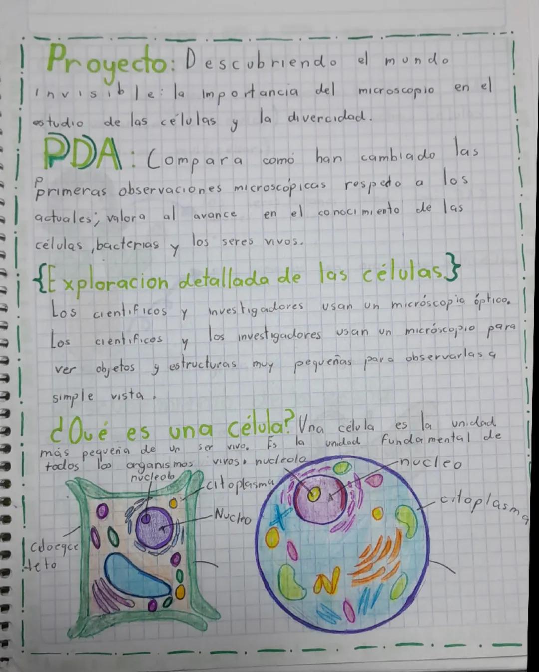 de las células
y
actuales, valora al
el
Proyecto: Descubriendo a mundo
Invisible: la importancia del
estudio
PDA: Compar
ra
primeras observa