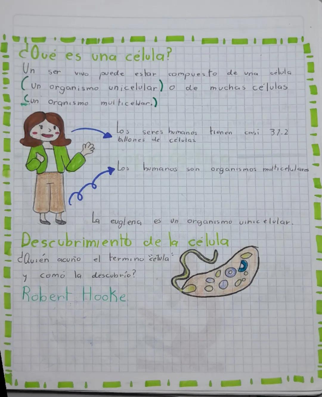 de las células
y
actuales, valora al
el
Proyecto: Descubriendo a mundo
Invisible: la importancia del
estudio
PDA: Compar
ra
primeras observa