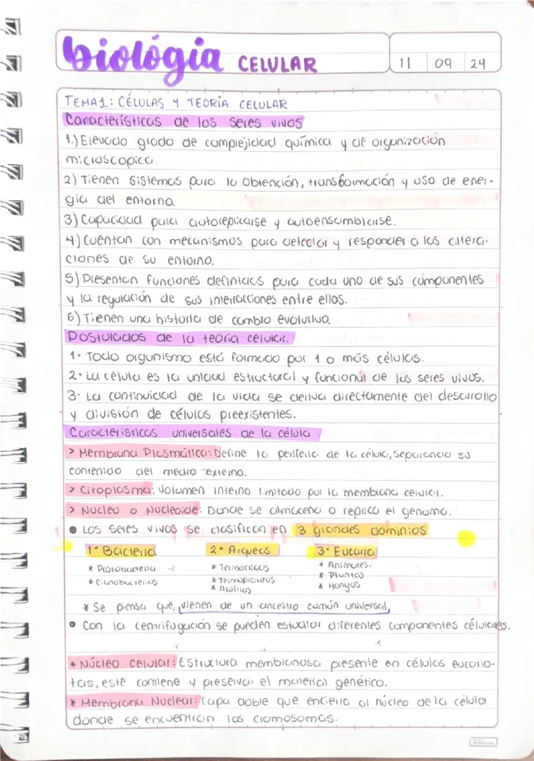 TEMA1: CÉLULAS Y TEORÍA CELULAR
5 biológia
CELULAR
7
7
7
E
A
E
Caracteristicas de los seres vivos
11
09 24
1.) Elevado grado de complejidad 