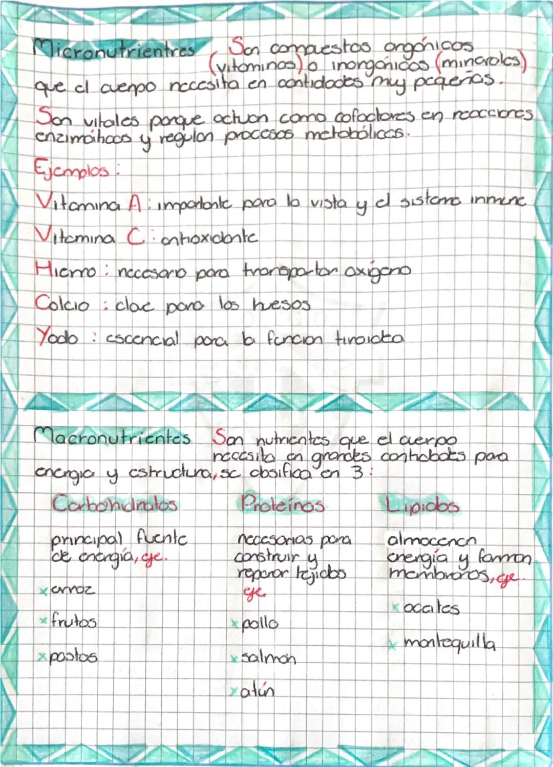 Micronutrientres Son compuestos orgánicos
(vitaminas) o inorgánicos (minerales)
que el cuerpo necesita en cantidades muy pequeñas.
Son vital