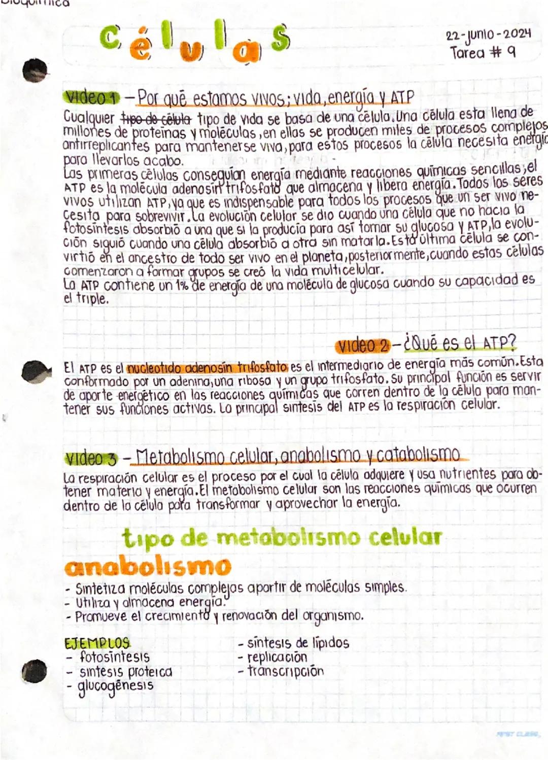 Células y su Función en el ATP