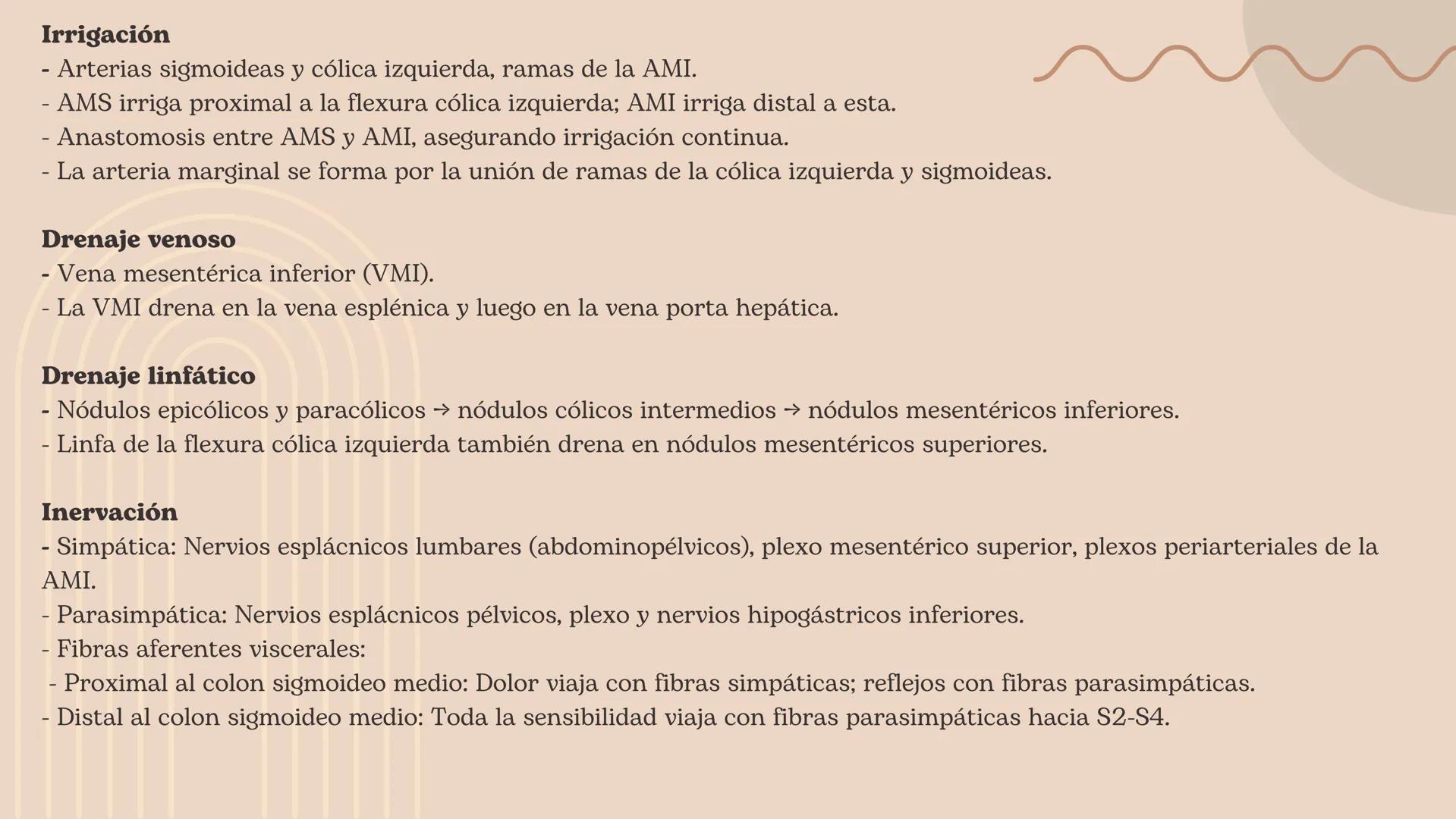 Flexura cólica
derecha
Colon transverso
Apéndices
omentales
Colon ascendente
Tenia mesocólica
del colon
Rama ascendente
de la arteria ileocó