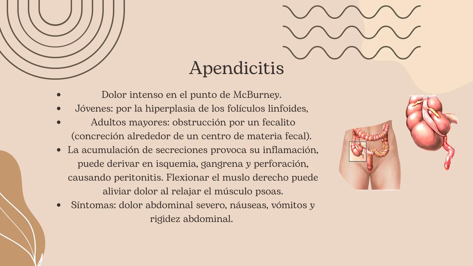 Flexura cólica
derecha
Colon transverso
Apéndices
omentales
Colon ascendente
Tenia mesocólica
del colon
Rama ascendente
de la arteria ileocó