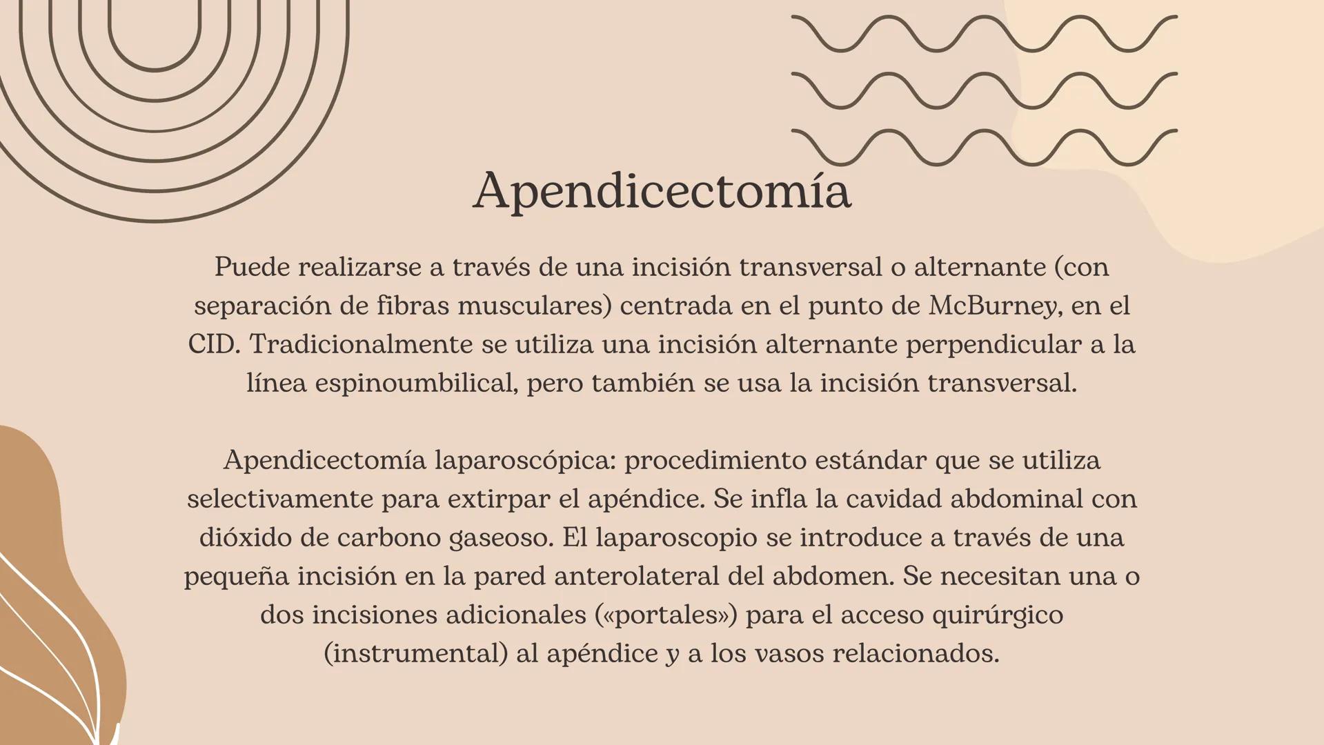 Flexura cólica
derecha
Colon transverso
Apéndices
omentales
Colon ascendente
Tenia mesocólica
del colon
Rama ascendente
de la arteria ileocó