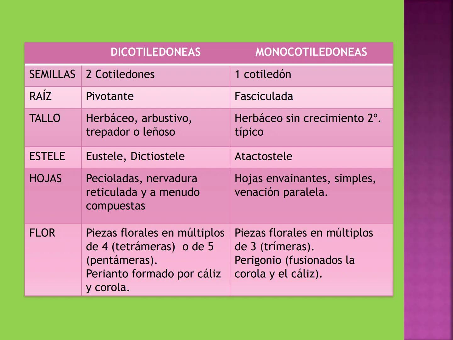 - NERVADURA
  PRINCIPAL
- PECÍOLO
- NERVADURA
  SECUNDARIA
- BORDE
- LÁMINA O LIMBO
- PUNTA

HOJA # CONTENIDO TEMÁTICO
* 6.4. La Hoja: Fotos