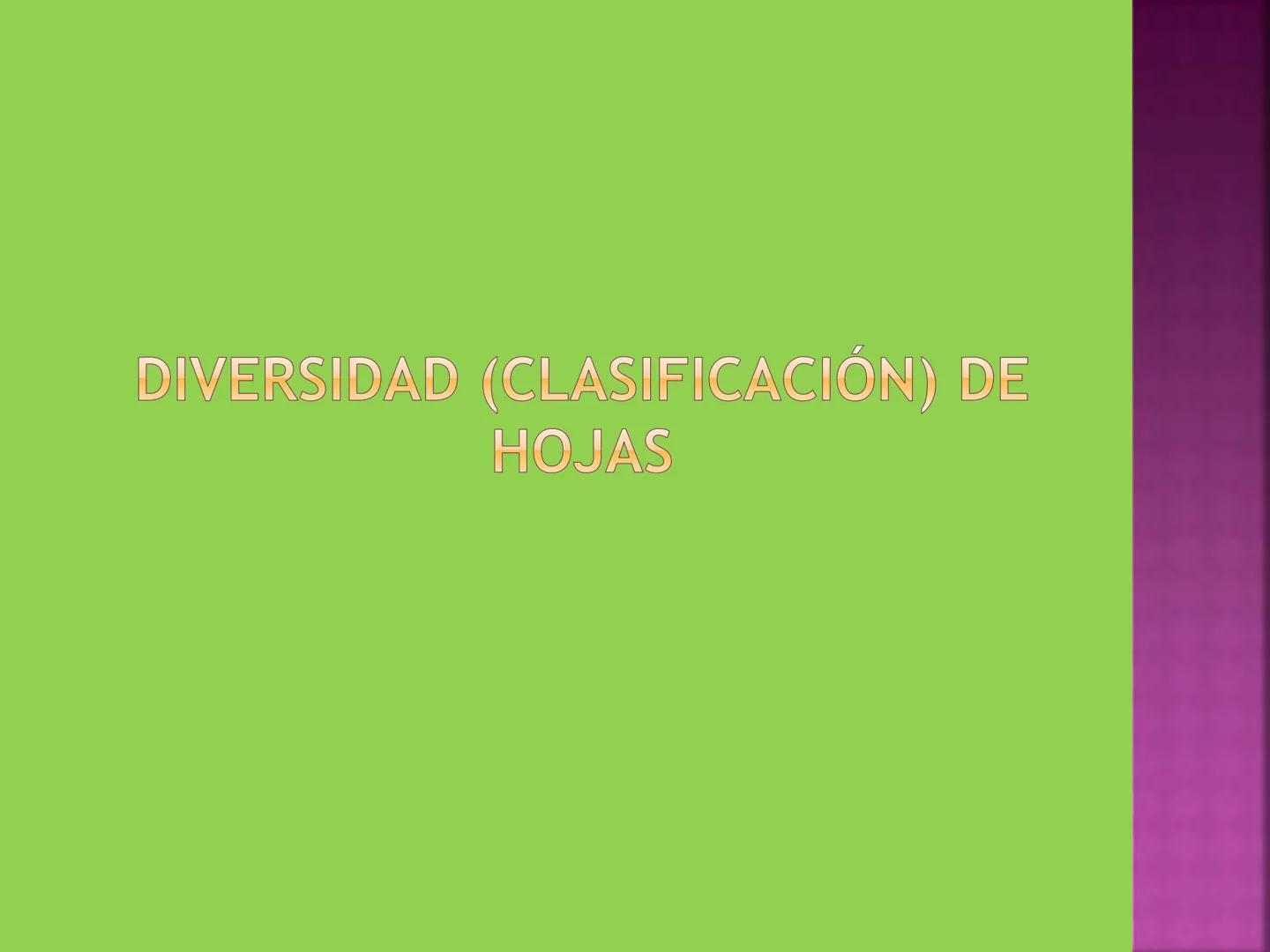 - NERVADURA
  PRINCIPAL
- PECÍOLO
- NERVADURA
  SECUNDARIA
- BORDE
- LÁMINA O LIMBO
- PUNTA

HOJA # CONTENIDO TEMÁTICO
* 6.4. La Hoja: Fotos