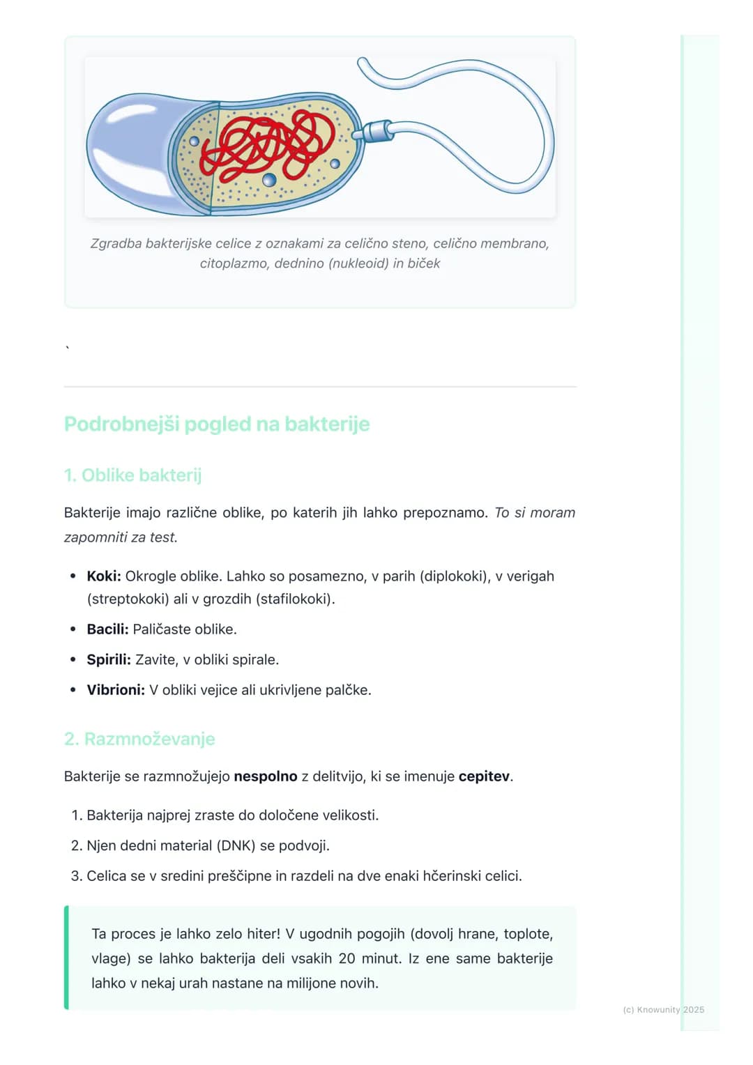 # Bakterije - mikroskopski
prebivalci

Kaj so bakterije?

Bakterije so majhni, enocelični organizmi, ki jih najdemo povsod okoli nas v
zraku